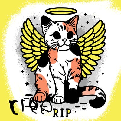 rip cat realistic cat with angel wings