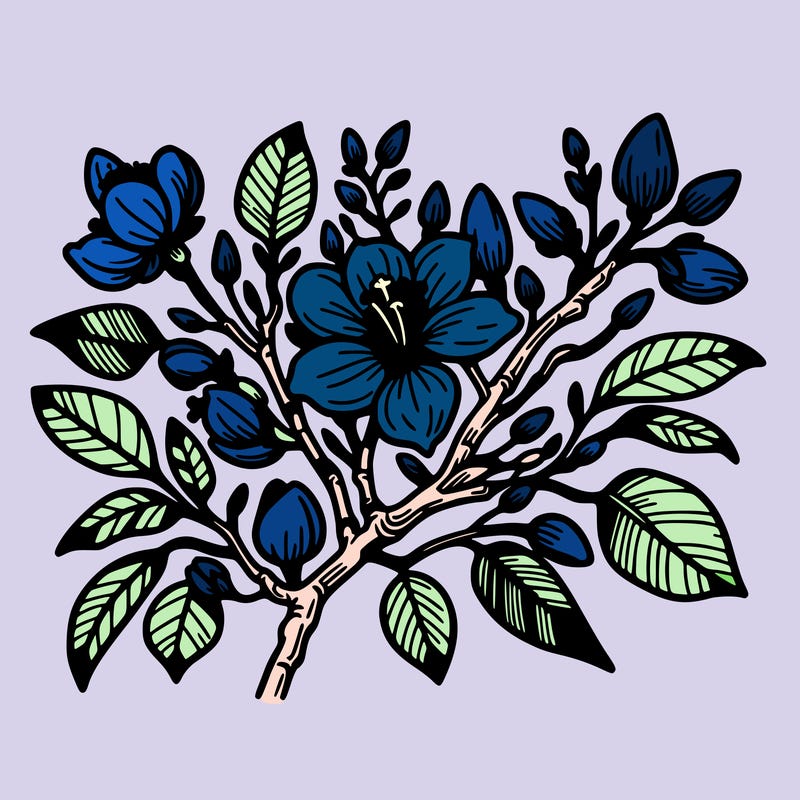 hong kong china bauhinia