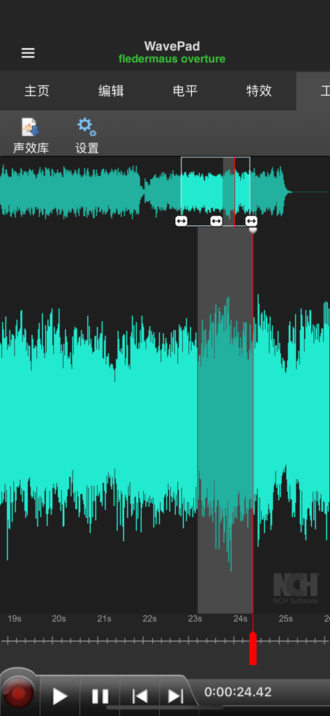 Interfaz de la aplicación WavePad que muestra una forma de onda de audio de color verde azulado con una sección resaltada para edición precisa.