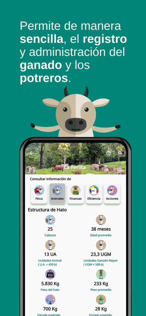 Interfaz de la app móvil InnoBovino mostrando datos de la estructura del hato e íconos de gestión de fincas