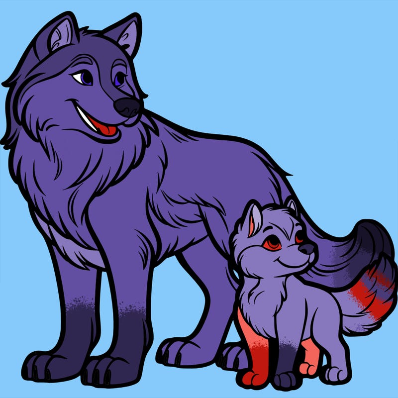 wolf and dog