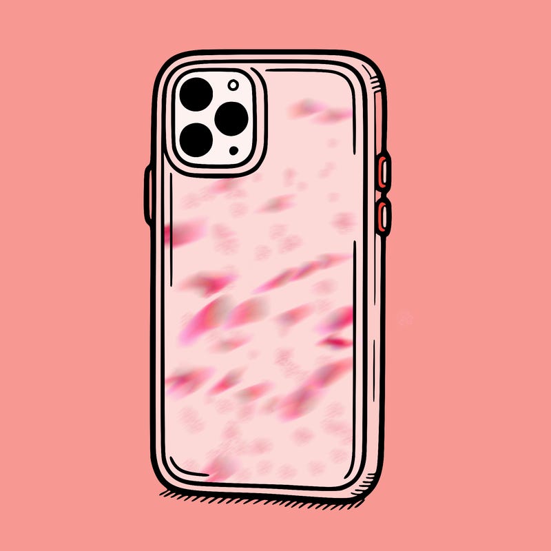 phone case