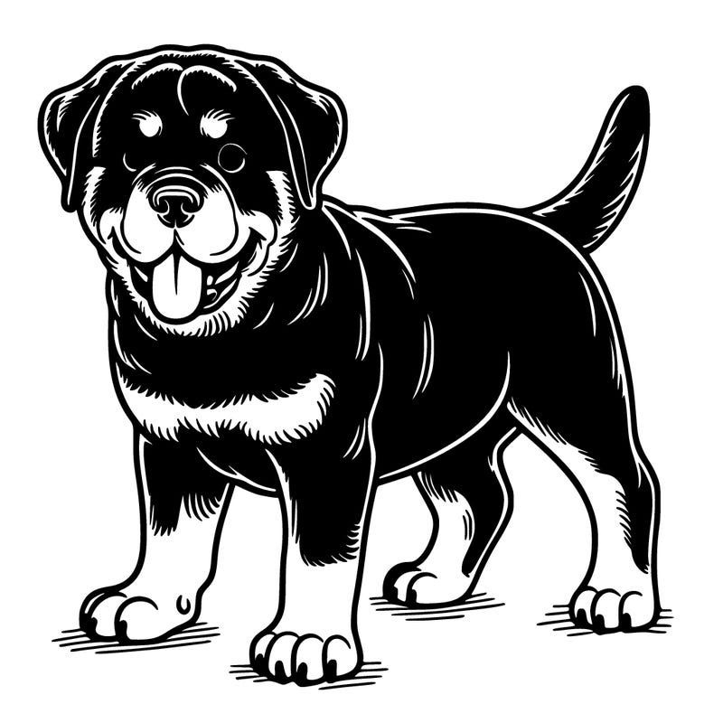 rottweiler