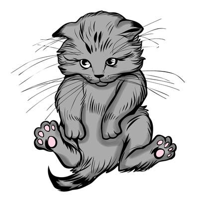 animals_20