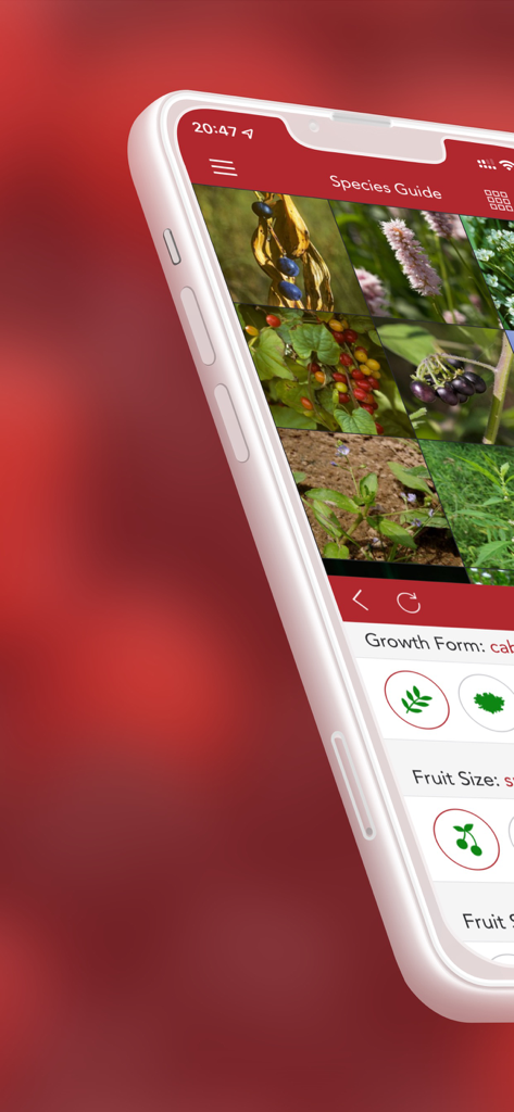 Wild Berries and Herbs 2 PRO - Interfaz de la aplicación Wild Berries and Herbs 2 PRO mostrando una guía de especies con imágenes de plantas y filtros de identificación