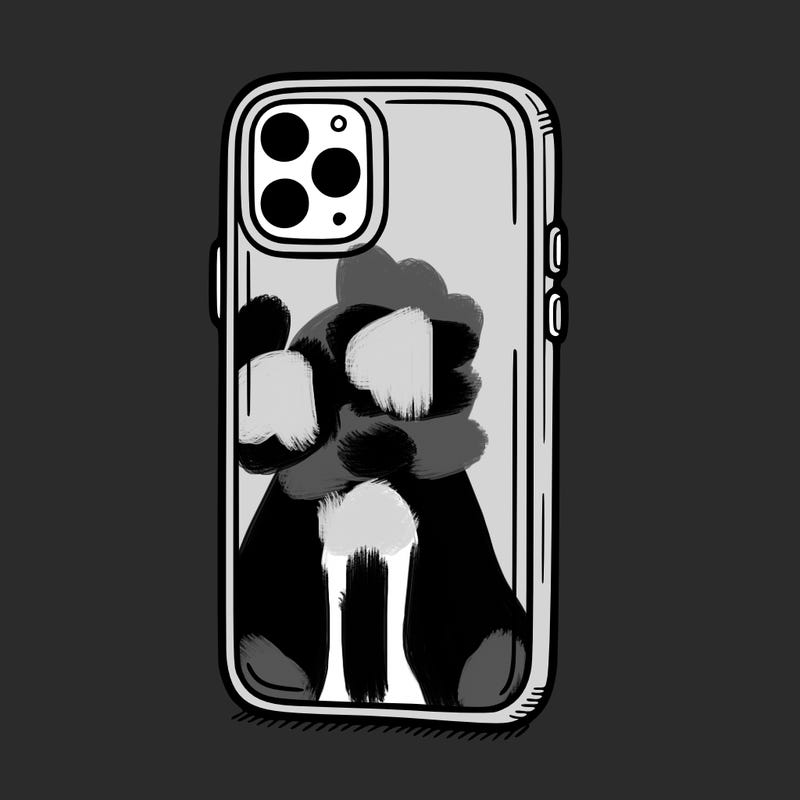 phone case