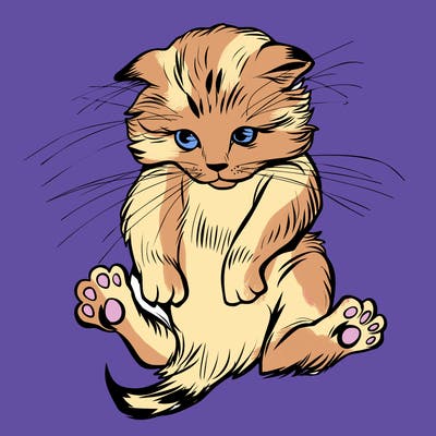 animals_20