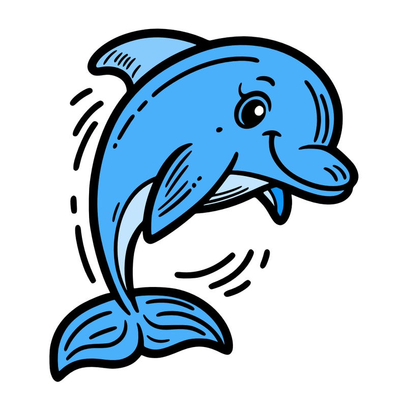 dolphin