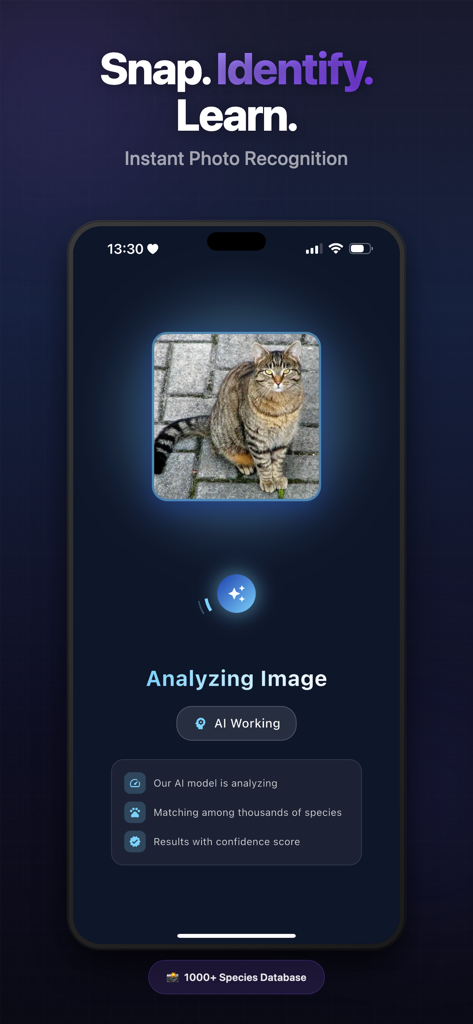 Animal Sound Identifier AI - Captura de tela do aplicativo Identificador de Sons de Animais IA mostrando reconhecimento instantâneo de fotos e análise de imagem de um gato