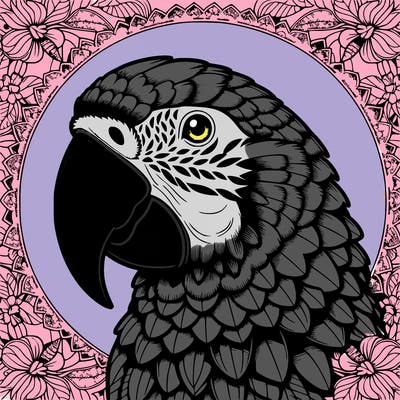 realistic parrot mandala