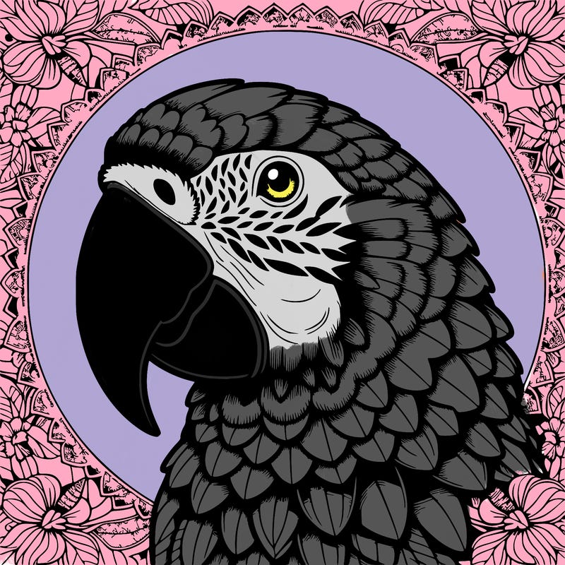 realistic parrot mandala