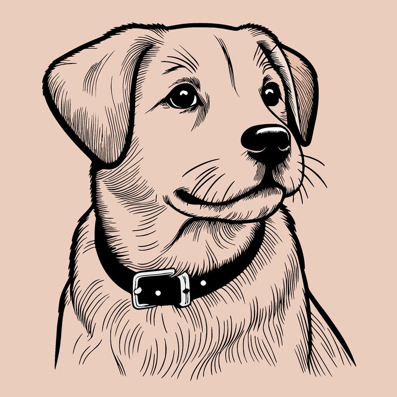 dog realistic