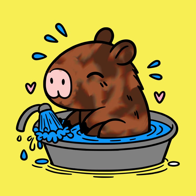 capybara taking a bath