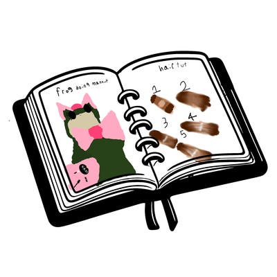 open note book blank