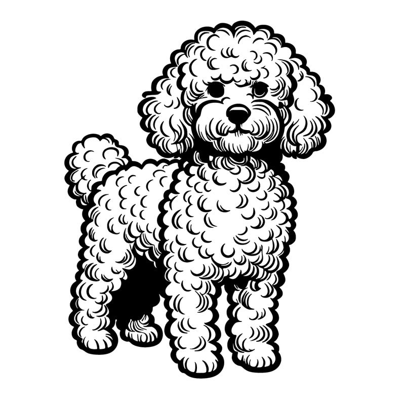 a realistic curly haired dog