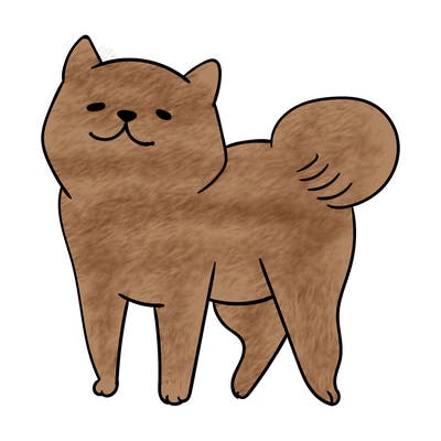 animals_29