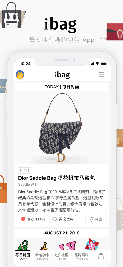 A screenshot of the iBag app displaying a detailed review of a Dior Saddle Bag with professional photography and luxury brand information.