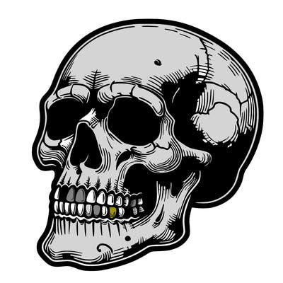 skull