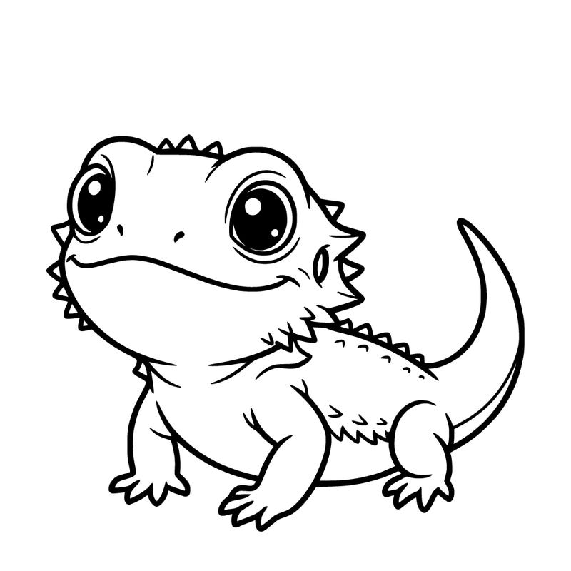 a kawia baby bearded dragon