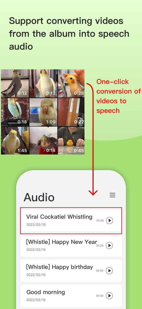 Interface of BirdTalker app showing how to convert pet bird videos into training audio files