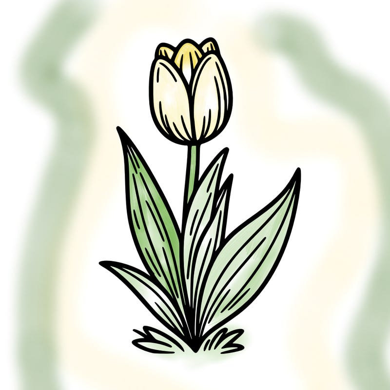 tulip