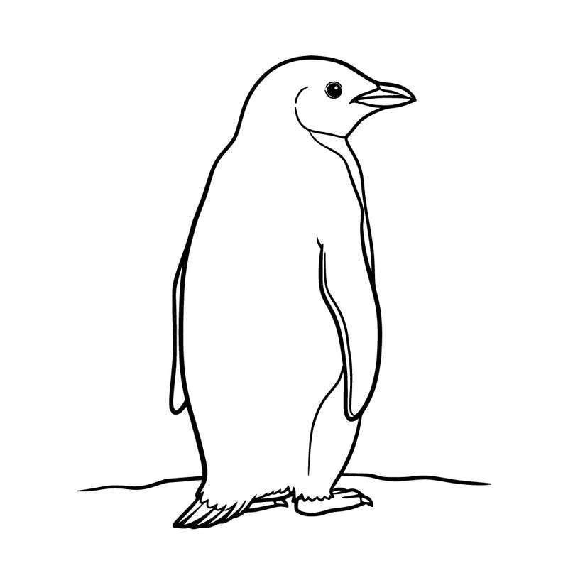 penguin