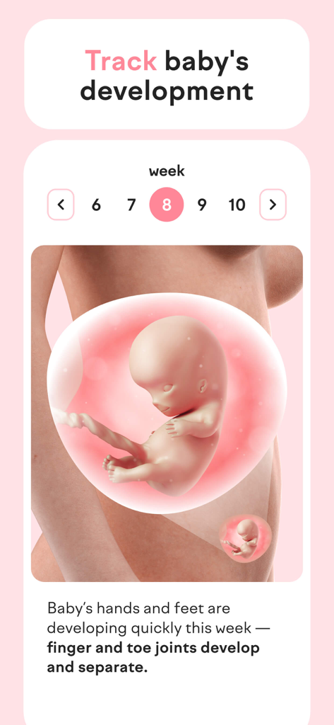 amma Pregnancy Tracker app screen showing fetal development at week 8