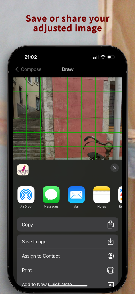 iPhone screen displaying the Sketch Grid app sharing menu for a photo with a green grid overlay
