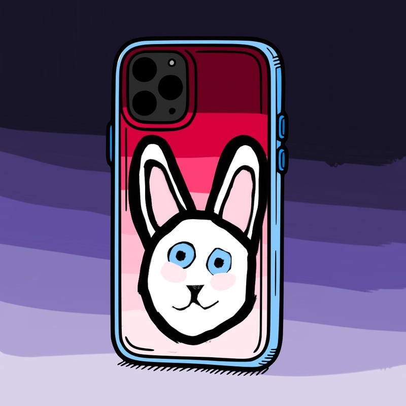 phone case
