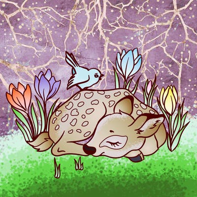 animals_61