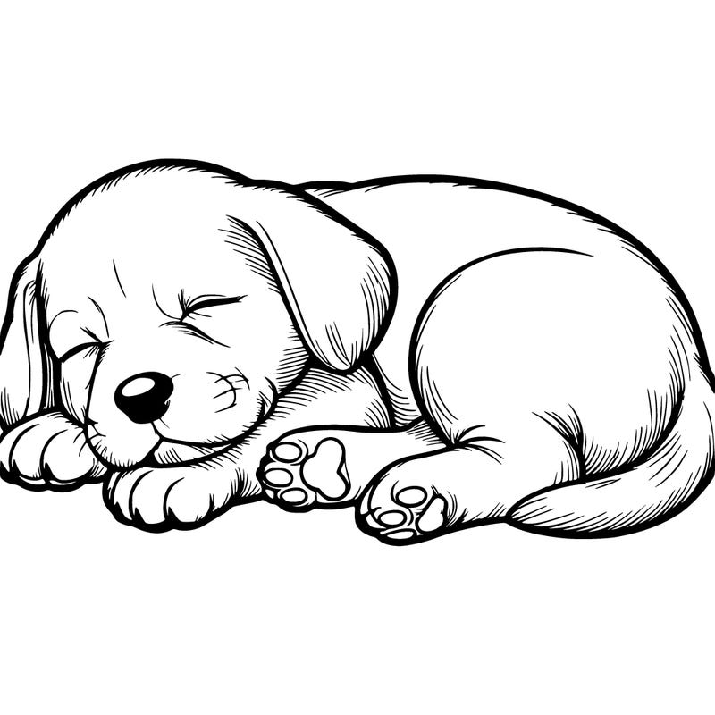 realistic puppy sleeping