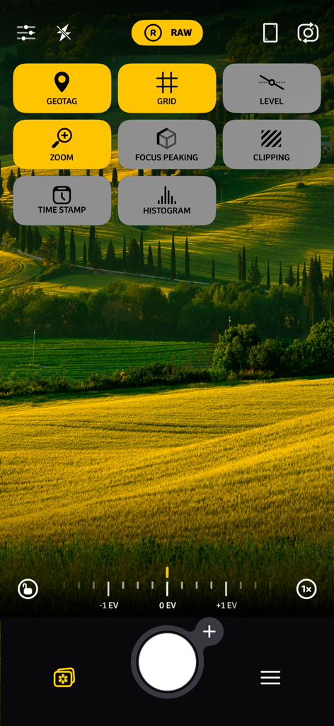 Interface of Camera plus showing pro controls like RAW grid and zoom over a green landscape