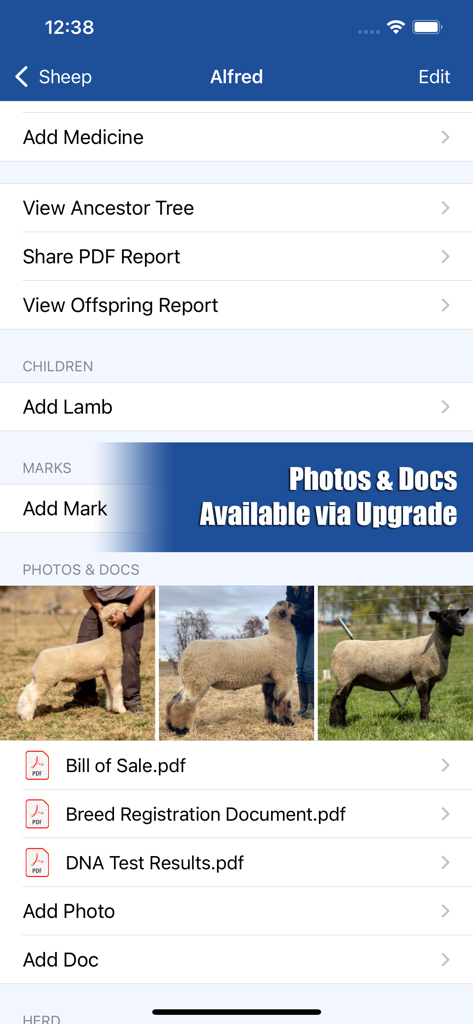 HerdBoss - HerdBoss app showing a sheep record with ancestor tree reports and animal documentation
