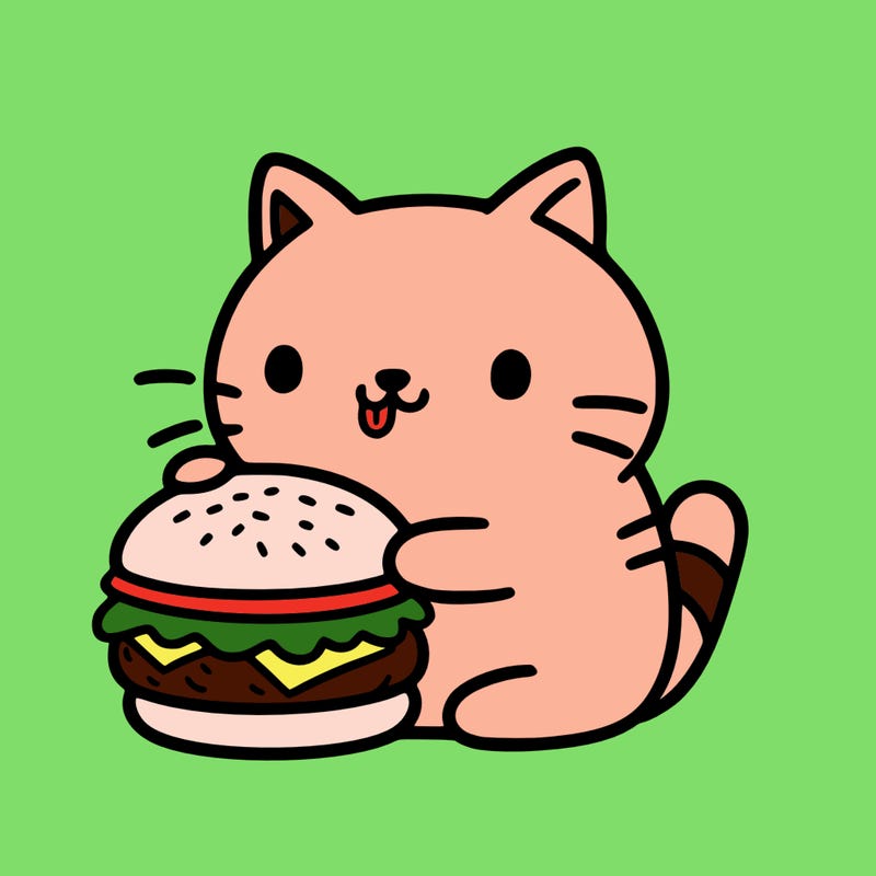 .cat eating a burger