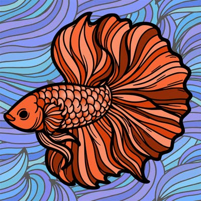 betta fish