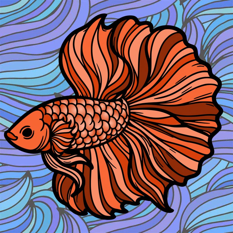 betta fish