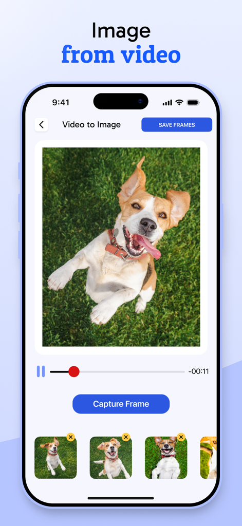JPG Image Converter PNG/JPEG - A mobile app screen showing a feature to extract still images from a video of a dog with a capture frame button.