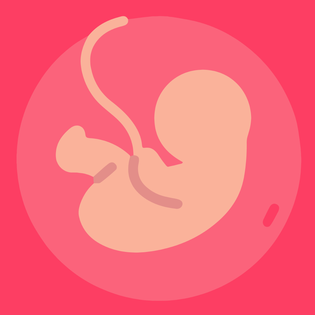 Gestational Age (baby's age)