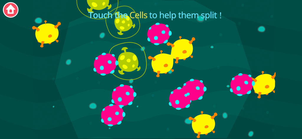 Mini-gioco interattivo sulla divisione cellulare per bambini nell'app Earth School.