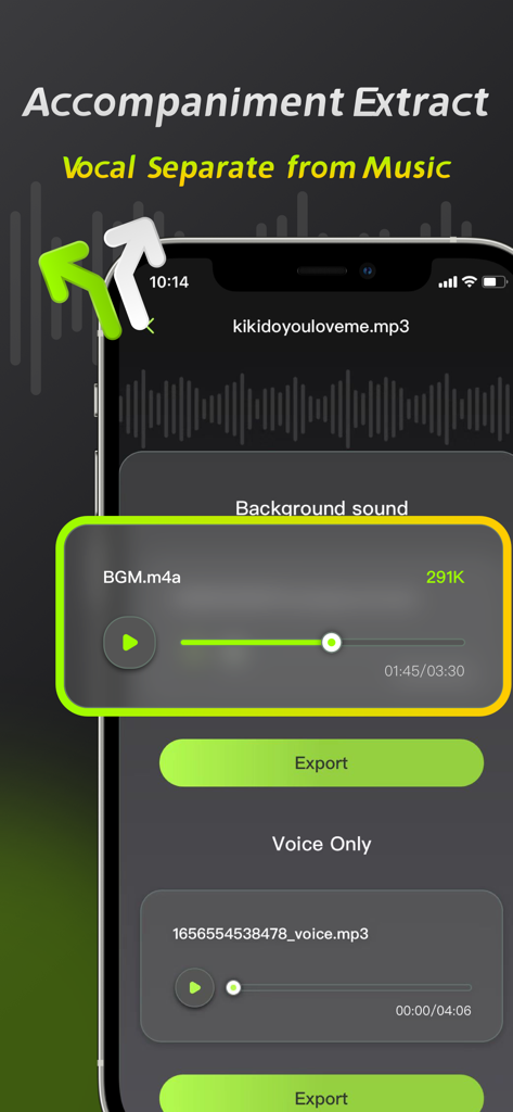 Interfaccia dell'app Audio Editor che mostra la funzione di separazione vocale ed estrazione dell'accompagnamento.
