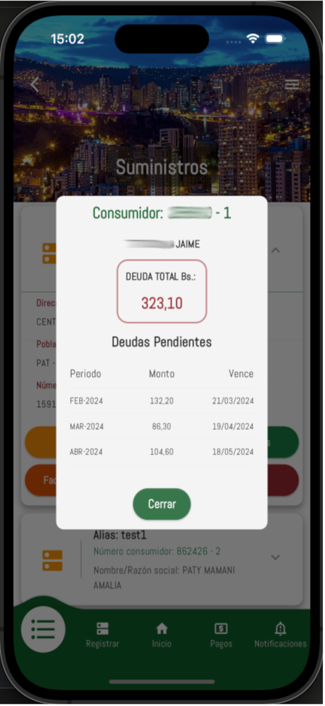 DELAPAZ APPLUZ - Una pantalla móvil que muestra la deuda total y un desglose mensual de las facturas de electricidad pendientes en la aplicación DELAPAZ APPLUZ