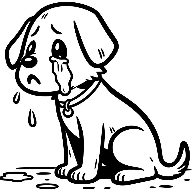 stray dog crying