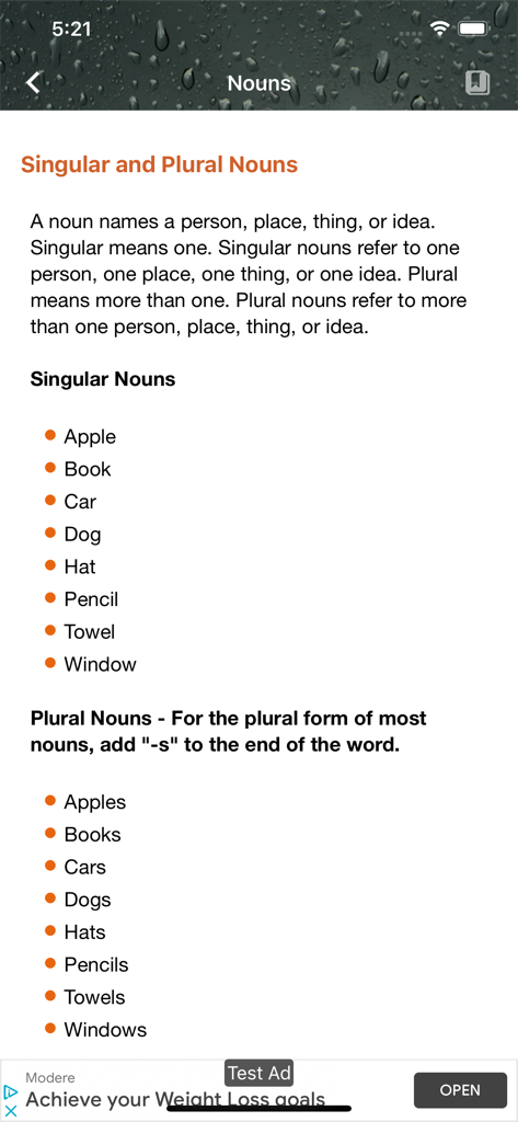 Pantalla de la aplicación de gramática inglesa que muestra una lección sobre sustantivos singulares y plurales con definiciones y ejemplos