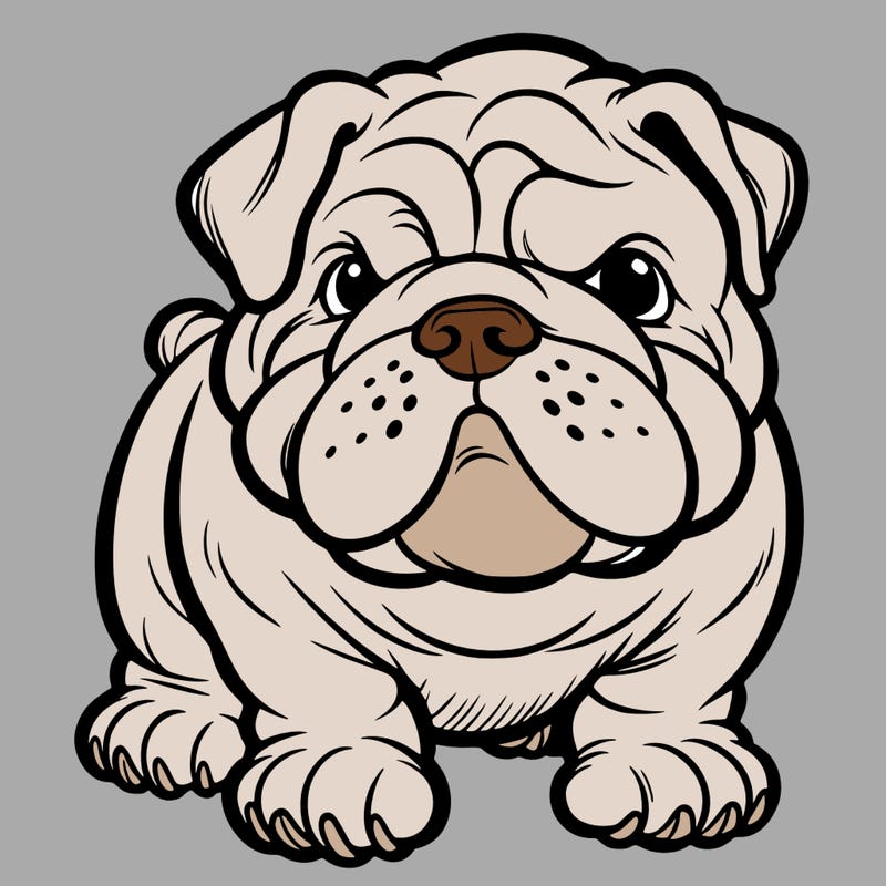 bulldog
