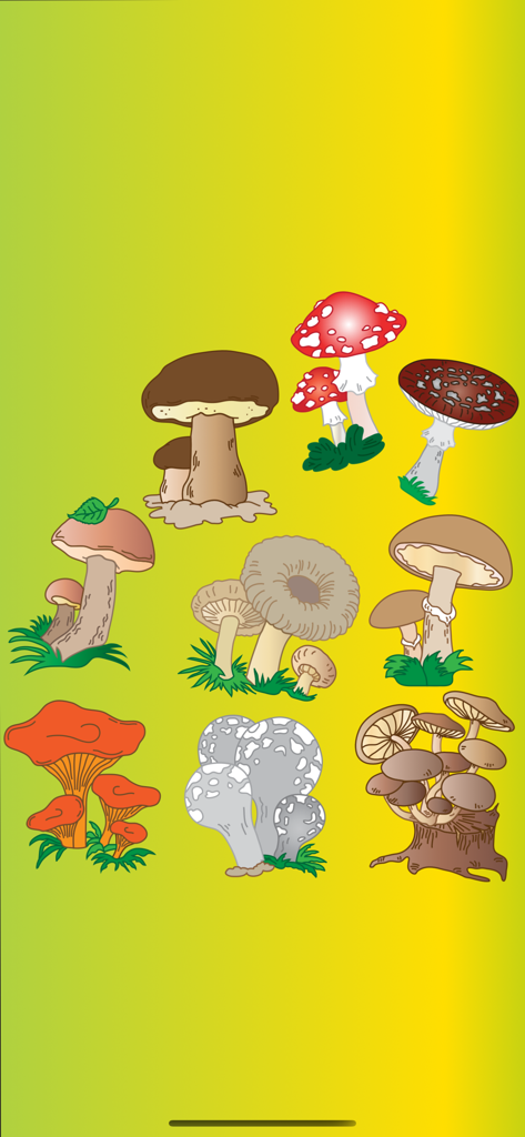 Gofun - Ilustraciones de setas coloridas para un puzzle de emparejar formas Montessori en la aplicación Gofun