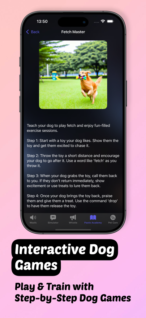 Dog to Human - Pawlo - Pawlo app screen showing step by step instructions for the Fetch Master dog training game