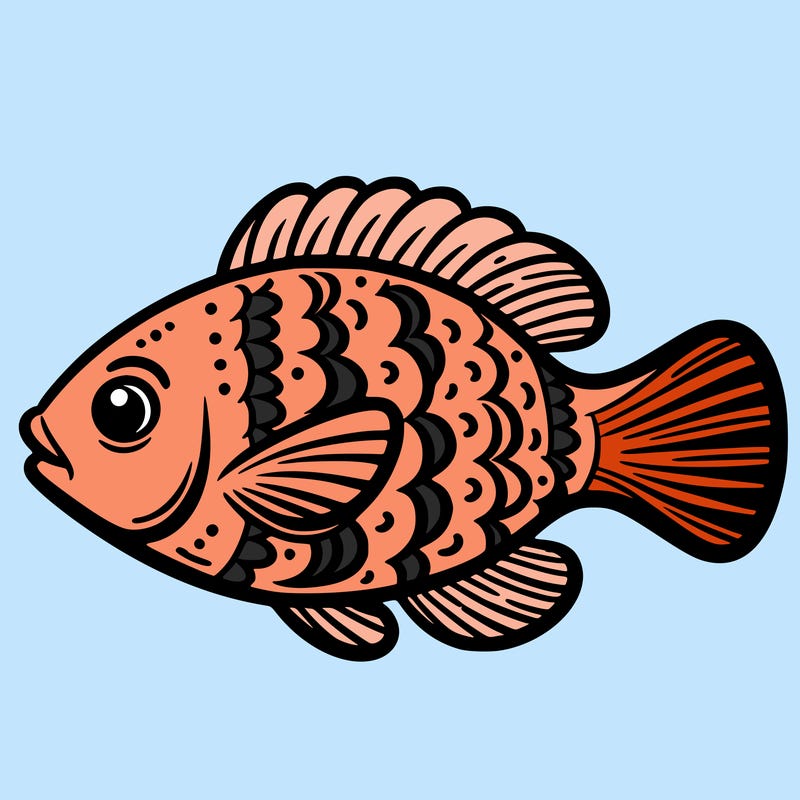fish