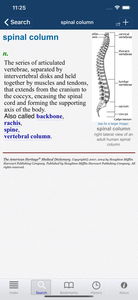 American Heritage® Medical - Medical dictionary entry for spinal column with a detailed definition and anatomical diagram of the spine.