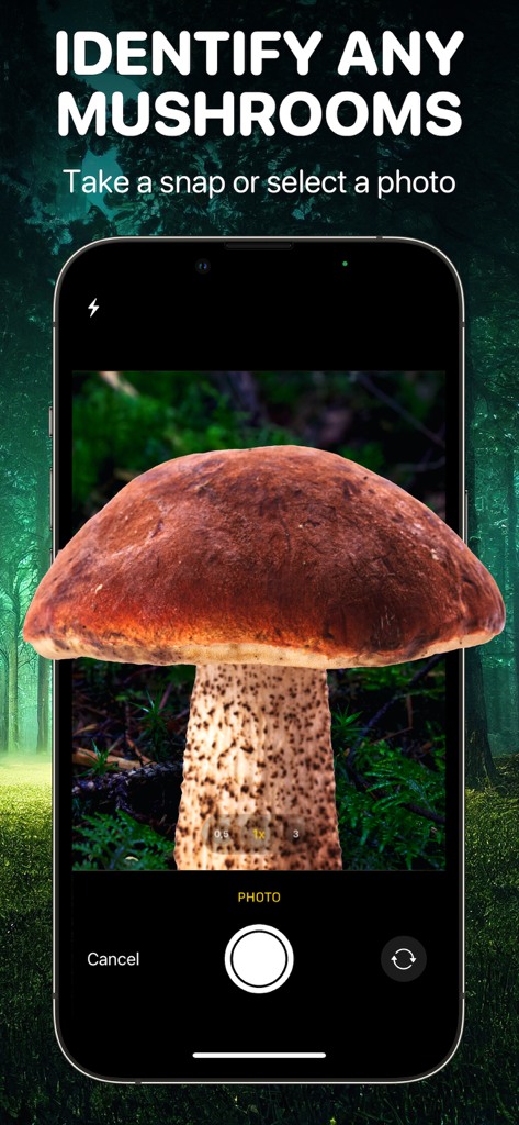 Écran de smartphone montrant l'Application d'Identification de Champignons capturant un champignon brun dans une forêt
