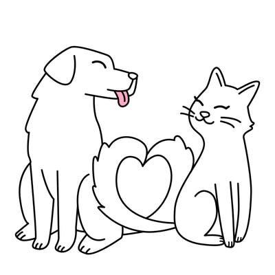 animals_22